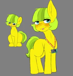 Size: 468x490 | Tagged: safe, artist:fuyonaemonilla, derpibooru import, oc, oc:lemon drop, unofficial characters only, earth pony, pony, bronycon, bronycon 2019, blushing, gray background, image, lanyard, male, png, rule 63, simple background, solo, solo male