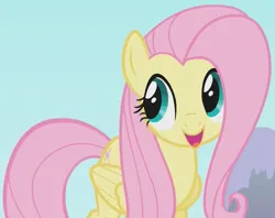 Size: 700x555 | Tagged: safe, derpibooru import, screencap, fluttershy, pegasus, pony, season 1, swarm of the century, cute, female, g4, image, mare, png, shyabetes, smiling, solo
