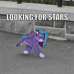 Size: 1303x1302 | Tagged: safe, artist:prixy05, derpibooru import, big cat, cat, leopard, g5, allura, aq bars, cat meme, ear piercing, earring, female, image, impact font, jewelry, meme, piercing, png, ponified animal photo, ponified meme, sinko peso, solo, text, that cat sure does like stars, winged big cat