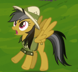 Size: 800x735 | Tagged: safe, derpibooru import, screencap, daring do, pegasus, pony, daring don't, animated, clothes, dilated pupils, female, flying, g4, gif, hat, image, mare, scared, solo, surprised