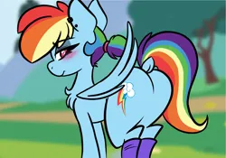 Size: 2388x1668 | Tagged: safe, artist:steelsoul, derpibooru import, rainbow dash, pony, alternate hairstyle, background pony, blushing, butt, clothes, dock, image, leg warmers, plot, png, rainbutt dash, rear view, simple background, tail