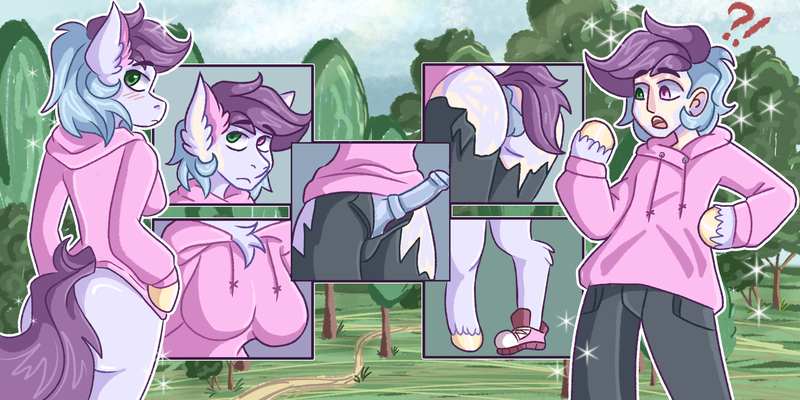 Size: 2715x1357 | Tagged: explicit, artist:flinnfelton, derpibooru import, oc, oc:purka, unofficial characters only, earth pony, human, semi-anthro, unguligrade anthro, arm hooves, ass, balls, big breasts, blush lines, blushing, bottomless, breasts, butt, chestbreasts, clothes, exclamation point, futa, heterochromia, hoodie, hoof hands, horsecock, human to anthro, image, interrobang, intersex, nudity, partial nudity, penis, png, question mark, ripping clothes, solo, transformation, transformation sequence, unshorn fetlocks