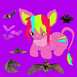 Size: 1080x1080 | Tagged: safe, artist:larvaecandy, derpibooru import, oc, unofficial characters only, bat pony, pony, bat pony oc, bat wings, big ears, colored pinnae, ear fluff, fangs, green eyes, image, jpeg, leonine tail, lying down, ms paint, multicolored mane, multicolored tail, narrowed eyes, neck fluff, no mouth, purple background, saturated, simple background, slit pupils, solo, tail, wings