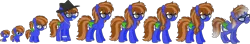 Size: 1900x332 | Tagged: safe, artist:pure-blue-heart, derpibooru import, oc, oc:bluebook, unofficial characters only, pegasus, pony, age progression, baby, baby pony, base used, bracelet, braces, colored wings, ear piercing, earring, elderly, female, freckles, glasses, hat, image, jewelry, necklace, older, pegasus oc, piercing, png, simple background, teenager, transparent background, wings