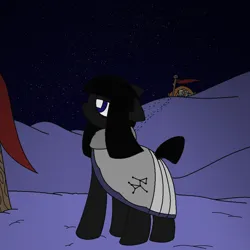 Size: 1020x1020 | Tagged: safe, artist:castafae, derpibooru import, oc, oc:ambrosia, unofficial characters only, earth pony, pony, cloak, clothes, female, flag, floppy ears, frown, image, mare, night, png, snow, solo, standing, stars, tent, wingding eyes