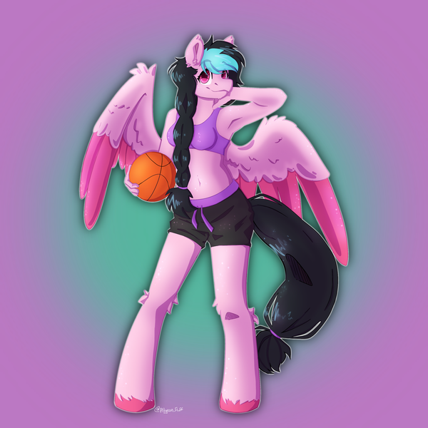 Size: 3000x3000 | Tagged: safe, artist:pidgeon_fluff, derpibooru import, oc, oc:galactic lights, anthro, pegasus, unguligrade anthro, anatomically incorrect, basketball, belly button, clothes, commissioner:rainbowdash69, image, incorrect leg anatomy, midriff, pegasus oc, png, shorts, sports, sports shorts, unshorn fetlocks, wings