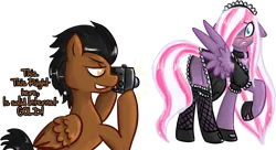 Size: 1280x696 | Tagged: artist needed, safe, derpibooru import, oc, oc:northern lights, pegasus, blushing, camera, clothes, french maid, image, maid, male, pegasus oc, png, simple background, transparent background, voyeurism, wings