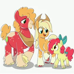 Size: 3000x3000 | Tagged: safe, artist:texacity, derpibooru import, apple bloom, applejack, big macintosh, earth pony, pony, alternate design, alternate hairstyle, apple siblings, apple sisters, beard, bow, brother and sister, coat markings, facial hair, female, filly, foal, image, jpeg, male, open mouth, siblings, simple background, sisters, socks (coat marking), stallion, tail, tail bow, trio, unshorn fetlocks, white background