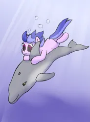 Size: 1699x2307 | Tagged: safe, artist:frilanka, derpibooru import, sea swirl, seafoam, dolphin, pony, unicorn, blank flank, bubble, female, filly, foal, holding breath, horn, image, png, simple background, solo, swimming, underwater, water