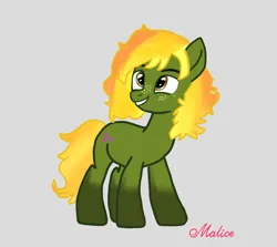Size: 2300x2048 | Tagged: safe, artist:malice-may, derpibooru import, oc, earth pony, pony, blonde, earth pony oc, female, g4, green fur, image, mare, pathfinder, png, teacher, younger