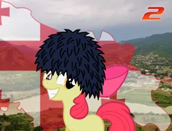 Size: 1068x816 | Tagged: safe, derpibooru import, apple bloom, flag, georgia (country), hat, image, irl, map, photo, png, solo