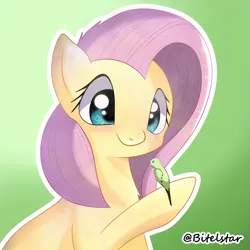 Size: 4096x4096 | Tagged: safe, artist:bitelstar, fluttershy, bird, pegasus, pony, budgie, bust, cute, gradient background, image, looking down, png, raised hoof, shyabetes, smiling