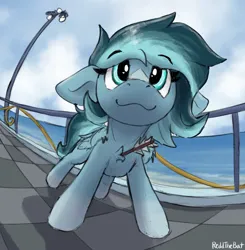 Size: 1953x1989 | Tagged: safe, artist:reddthebat, derpibooru import, oc, oc:alaska (reddthebat), unofficial characters only, ghost, ghost pony, pegasus, pony, undead, arrow, eyebrows, eyebrows visible through hair, facial markings, female, fisheye lens, floppy ears, image, jpeg, looking at you, mare, ocean, signature, smiling, solo, water
