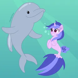 Size: 1600x1600 | Tagged: safe, artist:cloudy glow, derpibooru import, sea swirl, seafoam, dolphin, seapony (g4), unicorn, bubble, female, g4, grin, horn, image, ocean, png, seaponified, smiling, species swap, underwater, water