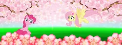 Size: 1374x511 | Tagged: safe, artist:lizzmcclin, derpibooru import, fluttershy, pinkie pie, earth pony, pegasus, cherry blossoms, flower, flower blossom, g4, image, png