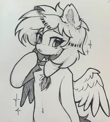 Size: 1844x2048 | Tagged: safe, artist:lerkfruitbat, derpibooru import, oc, unofficial characters only, pegasus, pony, belly button, bipedal, black and white, chest fluff, ear fluff, female, grayscale, human shoulders, image, jewelry, jpeg, mare, monochrome, necklace, simple background, sketch, solo, traditional art, white background