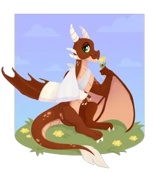 Size: 3000x3300 | Tagged: safe, artist:kabuvee, derpibooru import, oc, oc:ash, dragon, wyvern, bandage, broken bone, broken wing, bruised, cast, claws, colored wings, commission, dragon oc, dragonified, flower, grass, image, injured, male, non-pony oc, png, sling, smiling, species swap, tail, wings
