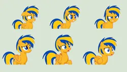 Size: 4432x2520 | Tagged: safe, artist:stephen-fisher, derpibooru import, oc, oc:flare spark, unofficial characters only, pegasus, pony, expressions, female, flare spark is best facemaker, image, mare, png, solo