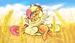Size: 1982x1145 | Tagged: safe, artist:chortzykit, derpibooru import, applejack, fluttershy, earth pony, pegasus, pony, duo, female, field, g4, holding each other, image, jpeg, lesbian, looking at each other, looking at someone, ship:appleshy, shipping