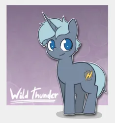 Size: 1520x1622 | Tagged: safe, artist:wild-thunder06, derpibooru import, oc, oc:wild thunder, pony, unicorn, cute, horn, image, male, png, simple background, stallion