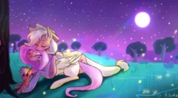 Size: 2048x1128 | Tagged: safe, artist:chortzykit, derpibooru import, applejack, fluttershy, earth pony, original species, pegasus, plush pony, pony, cuddling, duo, female, g4, image, jpeg, lesbian, night, night sky, plushie, ship:appleshy, shipping, sky