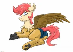 Size: 1280x916 | Tagged: safe, artist:pzkratzer, derpibooru import, oc, hybrid, butt, clothes, image, jpeg, male, panties, paws, plot, ponygriff, solo, speedo, spread wings, swimsuit, underwear, wings