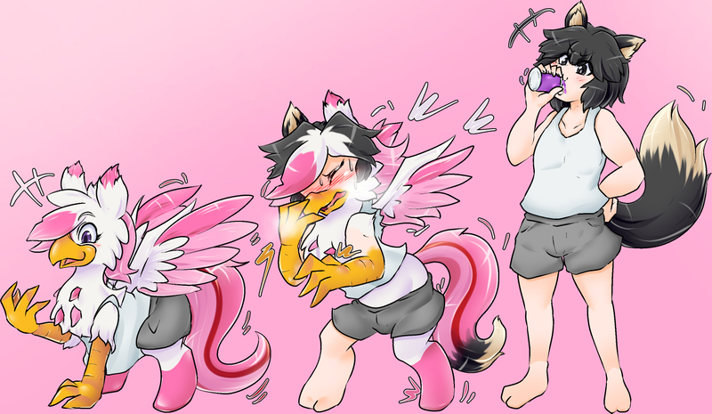 Size: 1470x855 | Tagged: safe, artist:nageruamado, derpibooru import, oc, oc:foxxy hooves, unofficial characters only, gryphon, furry to griffon, gradient background, human to griffon, image, japanese reading order, jpeg, kemonomimi, pixiv, transformation, transformation sequence