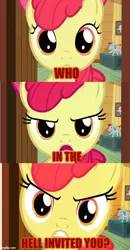 Size: 500x964 | Tagged: safe, derpibooru import, screencap, apple bloom, earth pony, pony, angry, caption, female, filly, foal, image, image macro, jpeg, solo, text, vulgar
