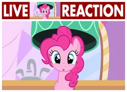 Size: 330x240 | Tagged: safe, derpibooru import, edit, edited screencap, screencap, pinkie pie, earth pony, pony, season 1, the best night ever, caption, cute, diapinkes, female, g4, image, image macro, live tucker reaction, looking at you, mare, meme, open mouth, png, reaction image, solo, text