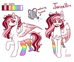 Size: 1495x1241 | Tagged: safe, artist:curryrice, derpibooru import, oc, pegasus, pony, amputee, cheek fluff, chest fluff, clothes, image, looking at you, messy mane, png, rainbow socks, reference sheet, shy, socks, solo, striped socks, watering can