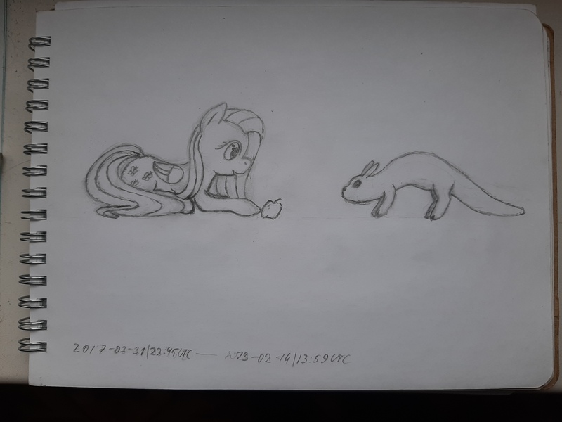 Size: 4032x3024 | Tagged: safe, artist:pink amena, derpibooru import, fluttershy, pegasus, pony, apple, cautious, crossover, duo, food, image, jpeg, monochrome, pencil drawing, rain world, side view, sketch, slugcat, smiling, traditional art