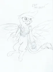 Size: 4874x6642 | Tagged: safe, artist:pzkratzer, derpibooru import, gilda, gryphon, semi-anthro, belly button, flying, image, jpeg, sketch, solo, text, traditional art