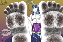 Size: 3266x2184 | Tagged: suggestive, artist:az12lol, derpibooru import, princess cadance, shining armor, anthro, human, plantigrade anthro, pony, unicorn, barefoot, barefooting, big feet, crush fetish, crushed, crushing, digital art, dirt, dirty, dirty feet, feet, fetish, foot fetish, foot focus, foot on face, g4, giant anthro, giant unicorn, horn, humanized, image, long hair, looking at you, macro, male, mega giant, muscles, muscular male, offscreen character, png, pov, soles, solo, sweat, sweaty feet