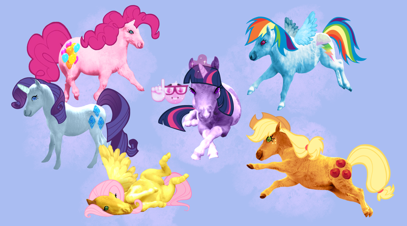 Size: 2048x1139 | Tagged: safe, artist:janegumball, derpibooru import, applejack, fluttershy, pinkie pie, rainbow dash, rarity, twilight sparkle, earth pony, horse, pegasus, pony, unicorn, blue background, emoji, female, g4, glow, glowing horn, hoers, horn, image, irl, irl horse, looking at you, lying down, mane six, mare, png, prone, recolored hoers, side, simple background, spread wings, wings
