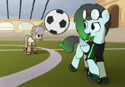 Size: 3300x2300 | Tagged: safe, artist:alexi148, derpibooru import, oc, oc:gryph xander, oc:hind, unofficial characters only, earth pony, pegasus, pony, clothes, football, image, jersey, male, png, soccer field, sports, stadium, stallion