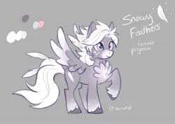 Size: 1893x1337 | Tagged: safe, artist:chucrukat, derpibooru import, oc, oc:snowy feather, unofficial characters only, pegasus, pony, chest fluff, colored wings, female, gray background, image, jpeg, mare, reference sheet, simple background, solo, unshorn fetlocks, wings