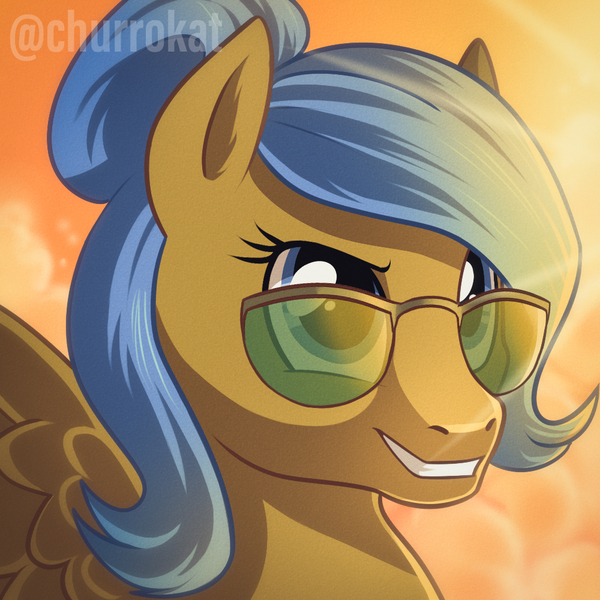 Size: 1000x1000 | Tagged: safe, artist:churrokat, derpibooru import, oc, unofficial characters only, pegasus, pony, bust, commission, female, hair bun, image, jpeg, mare, solo, sunglasses