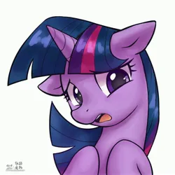 Size: 4000x4000 | Tagged: safe, artist:低能废物, derpibooru import, twilight sparkle, pony, unicorn, bust, female, horn, image, jpeg, looking at you, mare, open mouth, portrait, simple background, solo, text, white background, worried