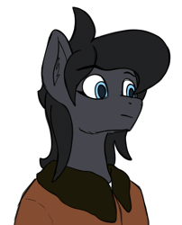 Size: 1308x1616 | Tagged: safe, artist:eklipsethepony, derpibooru import, oc, oc:eklipse, unofficial characters only, pegasus, pony, animated, bomber jacket, clothes, ear twitch, frame by frame, gif, image, jacket, looking at you, pegasus oc, pilot, smiling, smiling at you, solo, wings