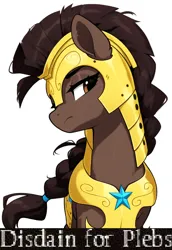 Size: 1280x1856 | Tagged: prompter needed, safe, ai content, derpibooru import, machine learning generated, novelai, stable diffusion, oc, unofficial characters only, earth pony, pony, armor, armored pony, brown coat, brown eyes, brown mane, caption, disdain, disdain for plebs, exploitable meme, female, frown, guardsmare, image, image macro, jpeg, mare, meme, reaction image, royal guard, simple background, solo, text, white background