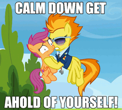 Size: 513x463 | Tagged: safe, derpibooru import, edit, edited screencap, screencap, scootaloo, spitfire, pegasus, pony, abuse, airplane!, animated, caption, clothes, cropped, duo, female, filly, flying, foal, gif, holding a pony, image, image macro, jewelry, loop, mare, movie reference, necklace, pinpoint eyes, scootabuse, shaking, spitfire's tie, sunglasses, text, uniform, whistle, whistle necklace, wonderbolts dress uniform