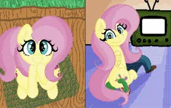 Size: 1824x1155 | Tagged: suggestive, artist:boneappleteeth, ponerpics import, fluttershy, faceful of ass, facesitting, image, jpeg, television