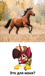 Size: 951x1600 | Tagged: safe, artist:kingdom, derpibooru import, oc, unofficial characters only, horse, pony, unicorn, cyrillic, horn, image, irl, jpeg, meme, photo, russian