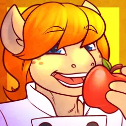 Size: 600x600 | Tagged: safe, artist:sheela, oc, oc:butternut, unofficial characters only, anthro, earth pony, apple, bust, chef outfit, clothes, eyebrows visible through hair, food, freckles, icon, image, jpeg, looking at you, male, open mouth, solo