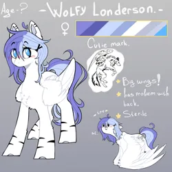 Size: 1600x1600 | Tagged: safe, artist:wolfythewolf555, derpibooru import, oc, oc:wolfy londerson, unofficial characters only, pegasus, female, image, jpeg, reference sheet