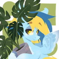 Size: 1500x1500 | Tagged: safe, artist:kingdom, derpibooru import, oc, unofficial characters only, pony, blue coat, blue mane, holding, image, jpeg, plant, smiling, solo, yellow mane