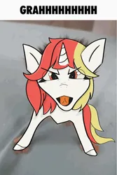 Size: 4800x7200 | Tagged: safe, derpibooru import, oc, oc:lazy sunday, pony, unicorn, angry, behaving like a cat, creature, funny, grah, horn, image, looking at you, meme, png, silly, solo, yelling
