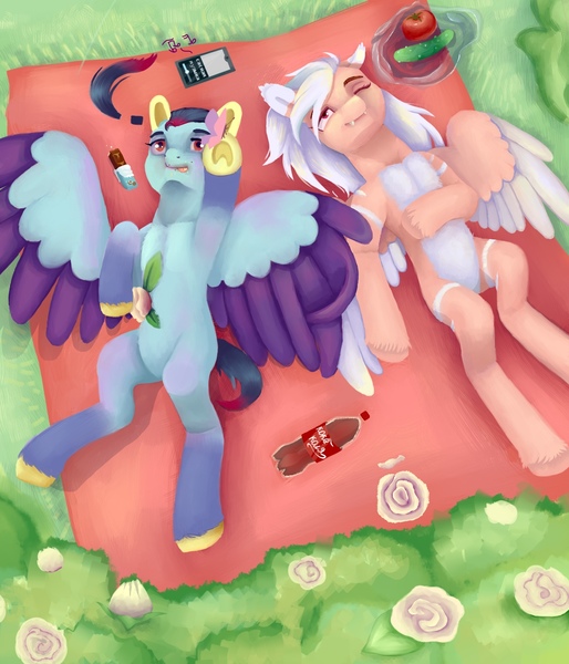 Size: 1200x1400 | Tagged: safe, artist:dagych, derpibooru import, oc, unofficial characters only, pegasus, pony, 2021, duo, grass, image, jpeg, pegasus oc, picnic blanket, wings