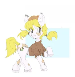 Size: 1920x1970 | Tagged: safe, artist:jorusbane, derpibooru import, oc, unofficial characters only, earth pony, pony, clothes, commission, earth pony oc, female, hat, image, looking at you, mare, png, raised hoof, shirt, smiling, solo, tail, unshorn fetlocks, ych result, your character here