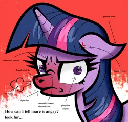 Size: 1202x1150 | Tagged: safe, artist:scandianon, derpibooru import, twilight sparkle, pony, unicorn, angry, arrow, cross-popping veins, dialogue, emanata, female, floppy ears, furrowed brow, horn, image, mare, pinpoint eyes, png, red face, scrunchy face, snorting, unicorn twilight